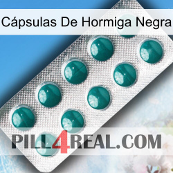 Cápsulas De Hormiga Negra